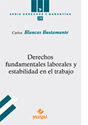 Derechos fundamentales laborales y estabilidad en el trabajo