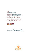 El ascenso de los principios en la práctica constitucional