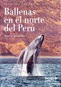 Ballenas en el norte del Perú / Whales of Nortern Peru