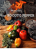 His majesty the rocoto pepper