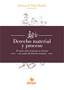 Derecho material y proceso