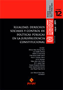 Igualdad, derechos sociales y control de políticas públicas en la jurisprudencia constitucional. Cuadernos sobre Jurisprudencia Constitucional N° 12