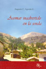 Asomar inadvertido en la senda