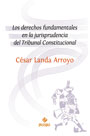 Los derechos fundamentales en la jurisprudencia del Tribunal Constitucional