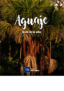 El aguaje, fruto de la vida