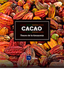 Cacao, tesoro de la Amazonía