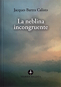 La neblina incongruente