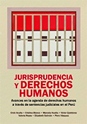 Jurisprudencia y derechos humanos