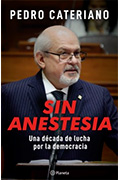 Sin anestesia. Una década de lucha por la democracia