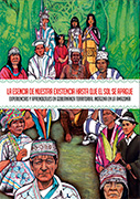 Experiencias y aprendizajes en gobernanza territorial indígena en la Amazonía