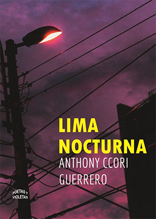 Lima nocturna