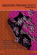 Amazonía Peruana en 2021 - Explotación de recursos naturales e infraestructuras