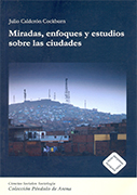 Miradas, enfoques y estudios sobre las ciudades