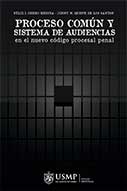 Proceso común y sistema de audiencias