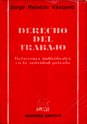 Derecho del Trabajo. Relaciones individuales en la actividad privada. (2da. edic.)