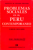 Problemas sociales en el Perú contemporáneo