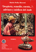 Despierta, remedio, cuenta...: adivinos y médicos del ande. 2 Tomos