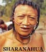 Sharanahua