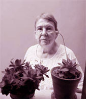 Rosa del Carpio