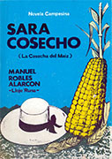 Sara cosecho. La cosecha del maíz